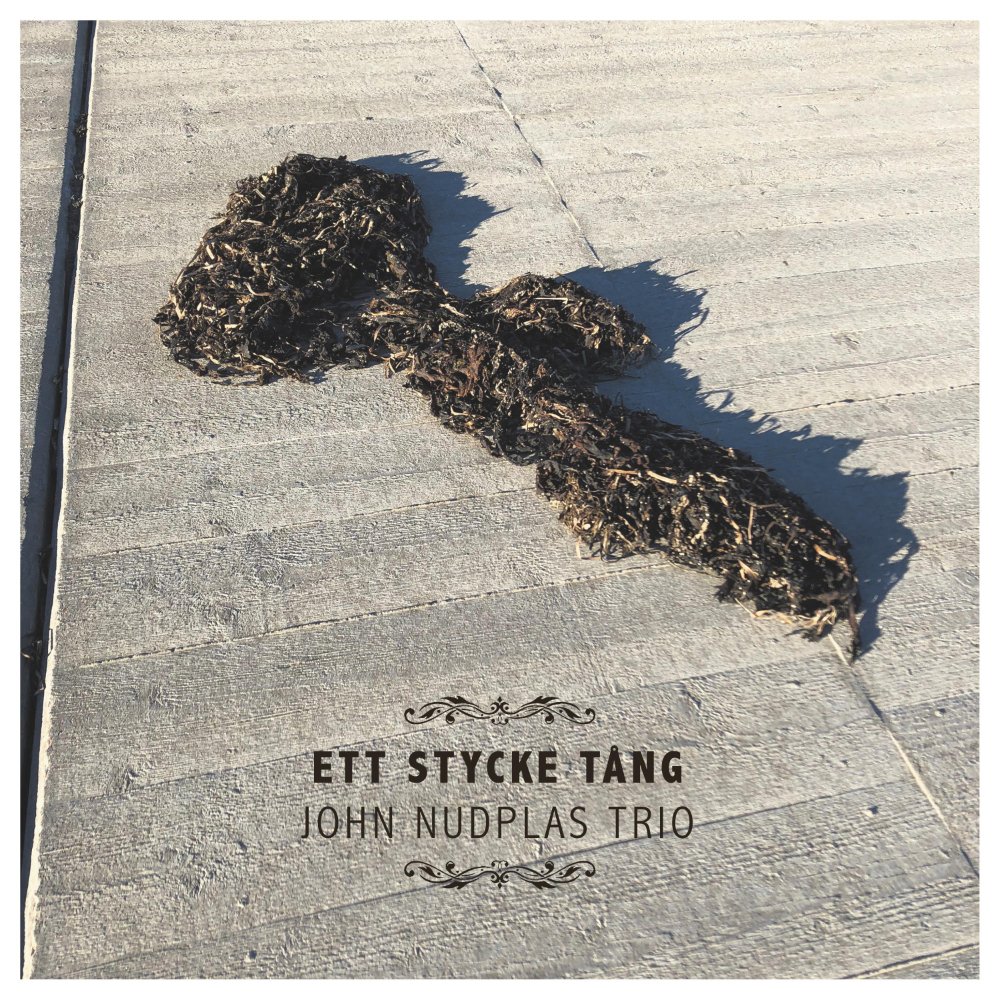 John Nudplas Trio - Ett Stycke Tång cover